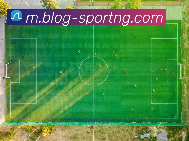 南宫体育平台生态图